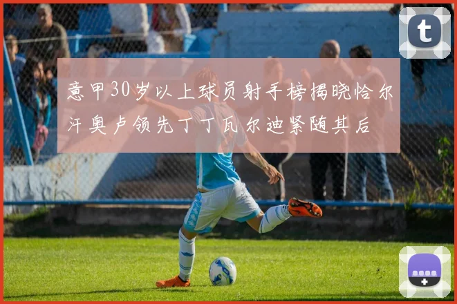 意甲30岁以上球员射手榜揭晓恰尔汗奥卢领先丁丁瓦尔迪紧随其后