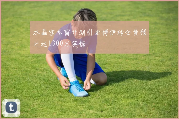 水晶宫冬窗计划引进博伊转会费预计达1300万英镑