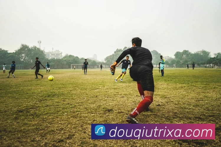 斗球体育平台生态图